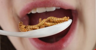 عجیب ترین غذاهای دنیا