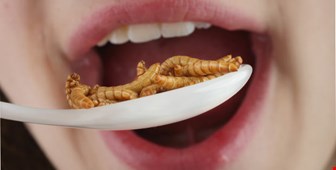 عجیب ترین غذاهای دنیا