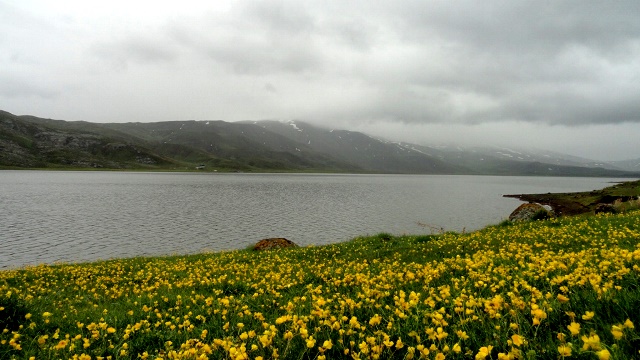 دریاچه نئور