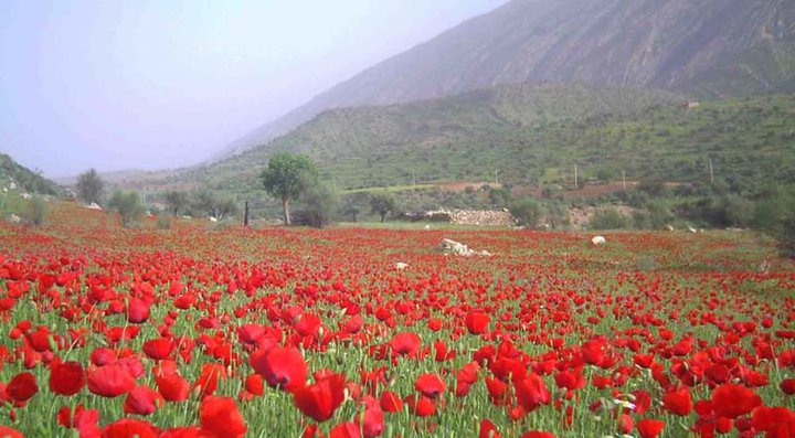 روستای تاریخی بهجان