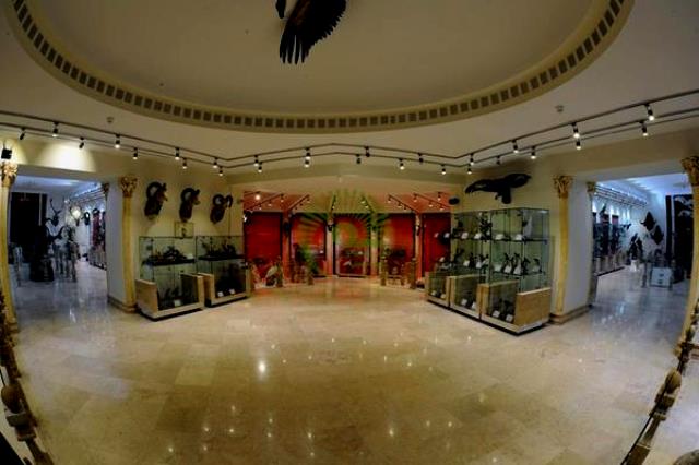 موزه حیات وحش اردبیل