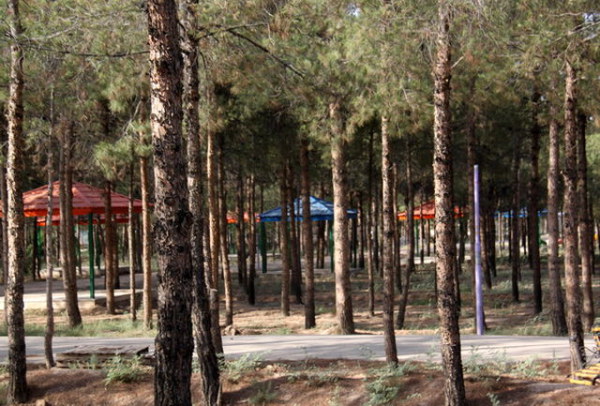 بوستان غدیر قم