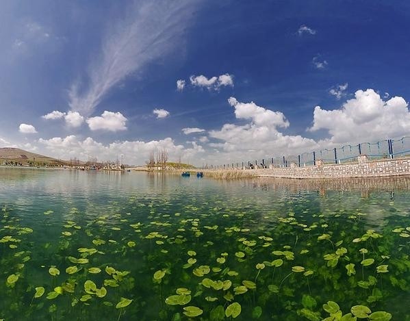 سرآب نیلوفر
