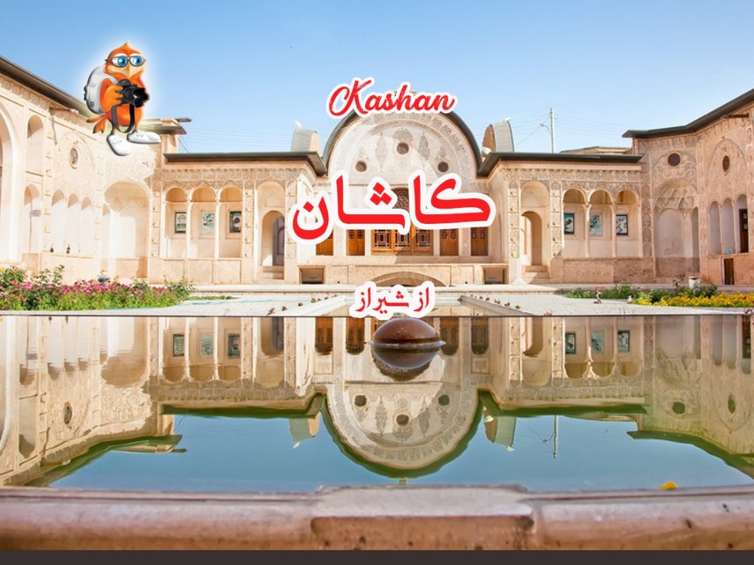  تصاویر موسسه نیزار در سایت مهنواز 